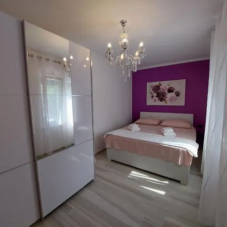 Rajna * Čižići