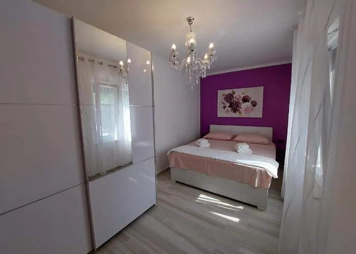Rajna Čižići