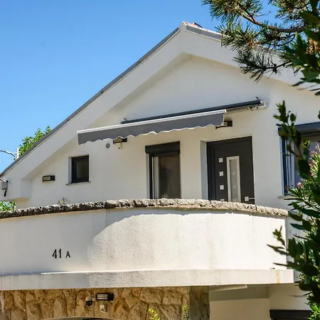 Rajna Čižići