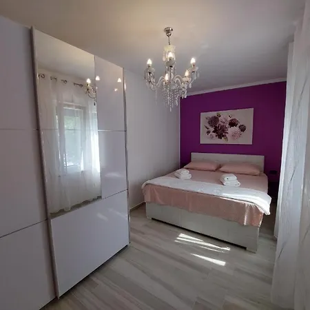 Rajna Čižići